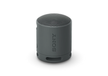 SONY PARLANTE INALÁMBRICO PORTÁTIL XB100 - GRIS